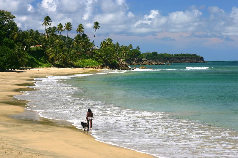 Grange Beach Tobago.jpg